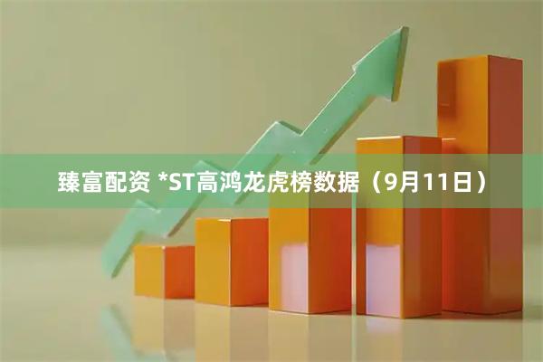 臻富配资 *ST高鸿龙虎榜数据（9月11日）