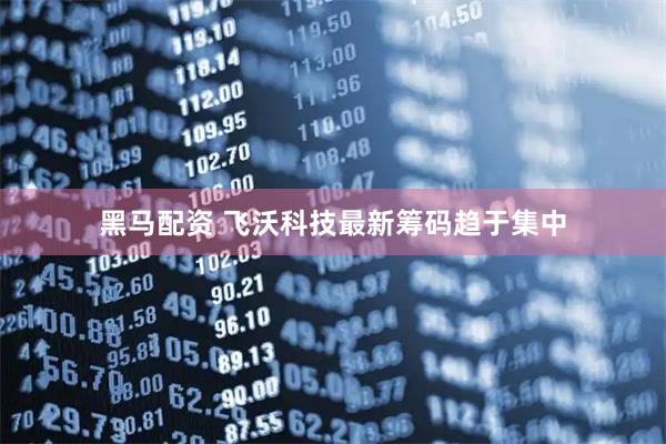 黑马配资 飞沃科技最新筹码趋于集中