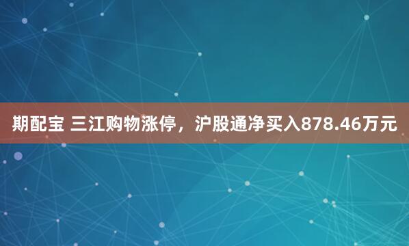 期配宝 三江购物涨停，沪股通净买入878.46万元