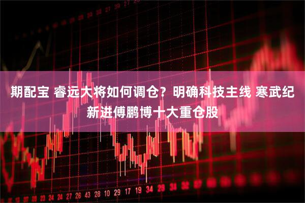 期配宝 睿远大将如何调仓？明确科技主线 寒武纪新进傅鹏博十大重仓股