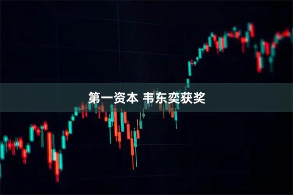 第一资本 韦东奕获奖