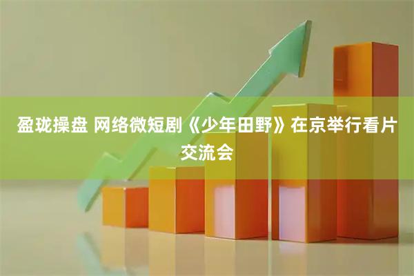 盈珑操盘 网络微短剧《少年田野》在京举行看片交流会