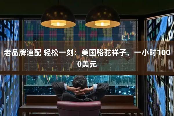 老品牌速配 轻松一刻：美国骆驼祥子，一小时1000美元