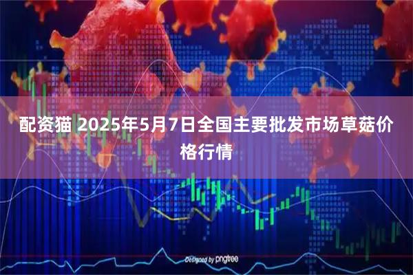 配资猫 2025年5月7日全国主要批发市场草菇价格行情