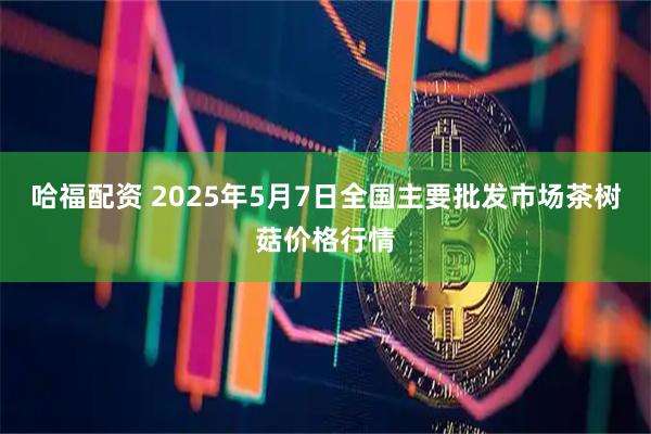 哈福配资 2025年5月7日全国主要批发市场茶树菇价格行情