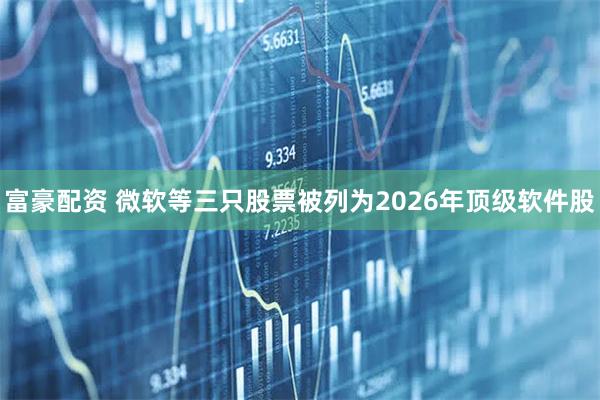 富豪配资 微软等三只股票被列为2026年顶级软件股